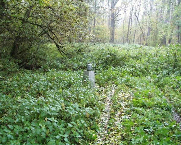 Picture of the measurement site