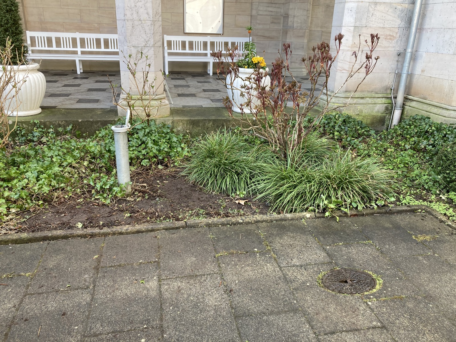 Picture of the measurement site