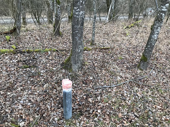 Picture of the measurement site