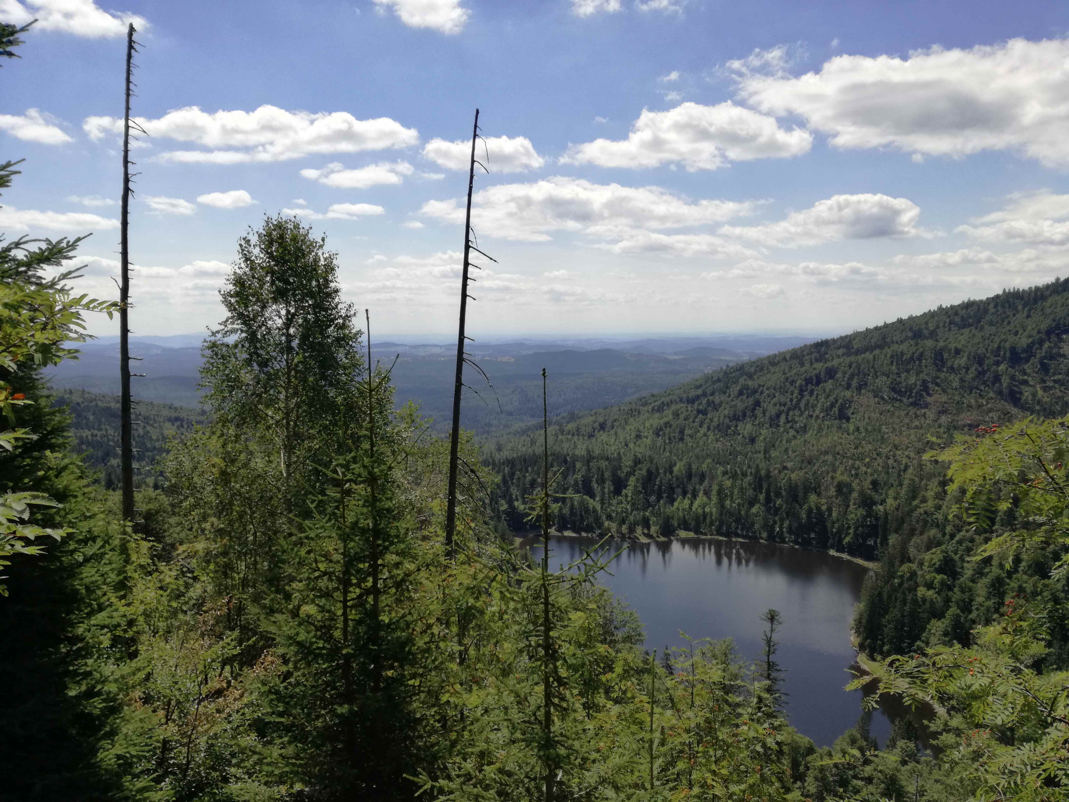 Picture of the measurement site