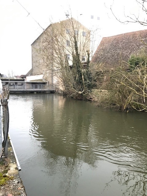 Picture of the measurement site