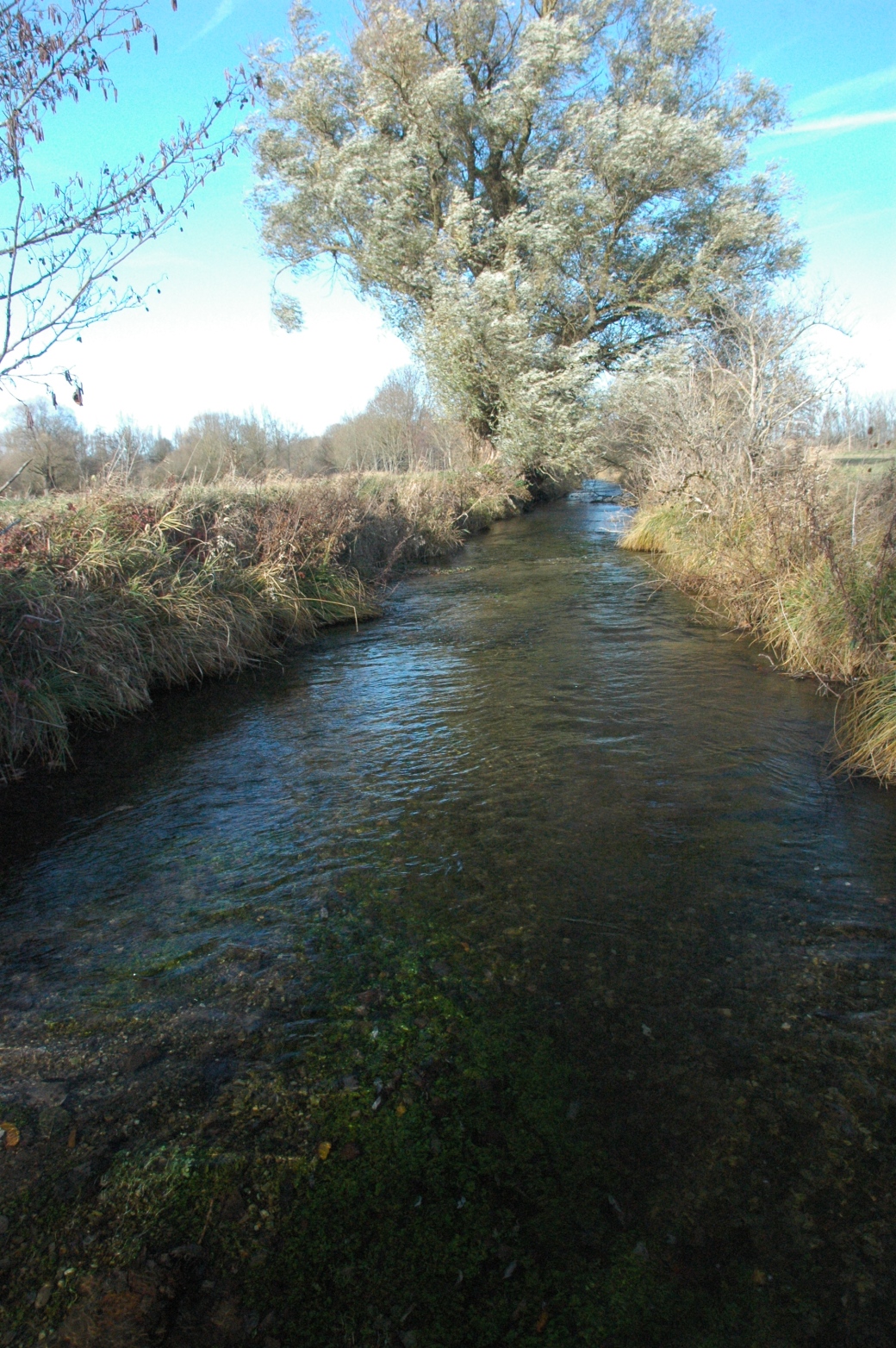 Picture of the measurement site