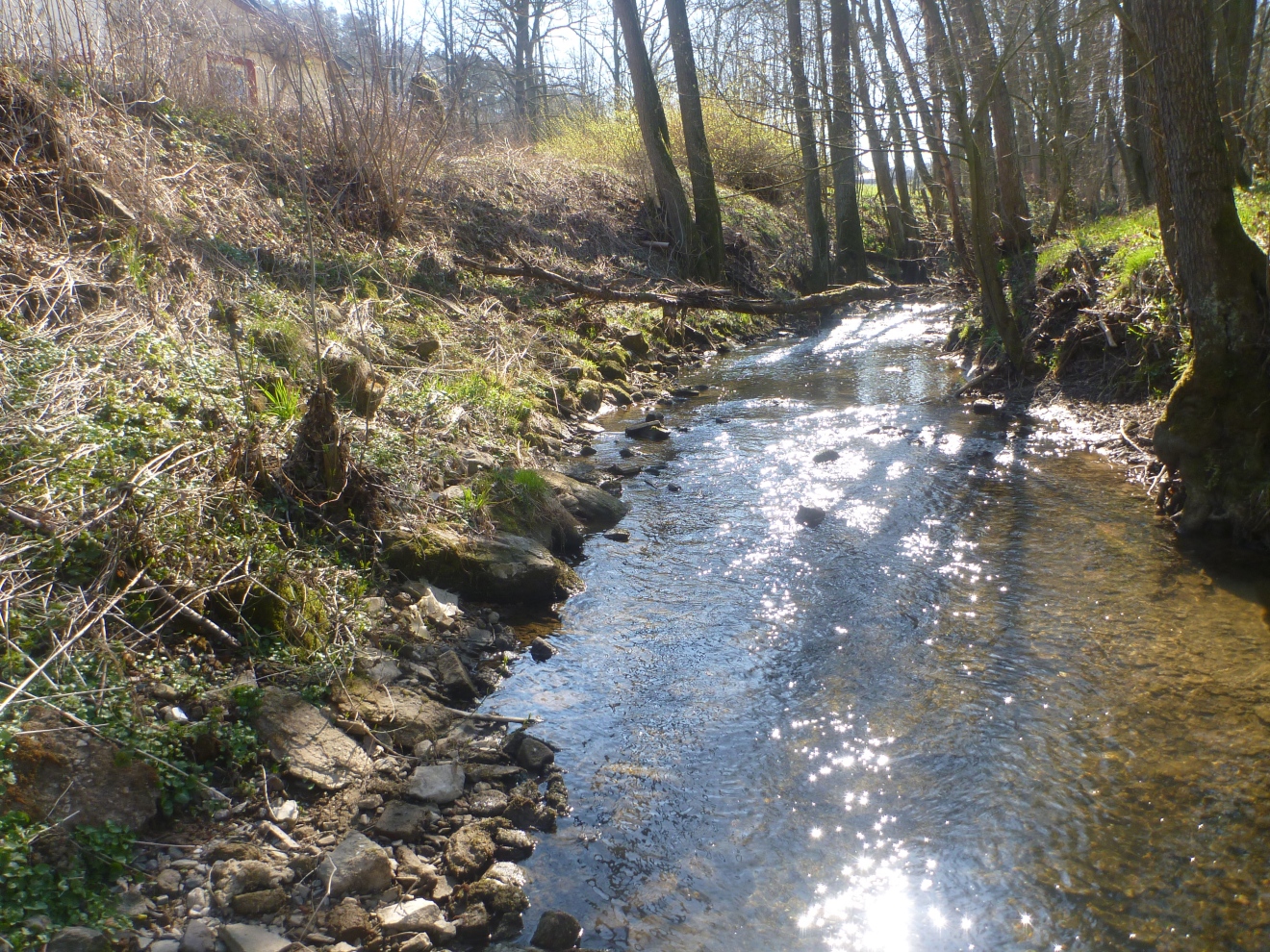 Picture of the measurement site