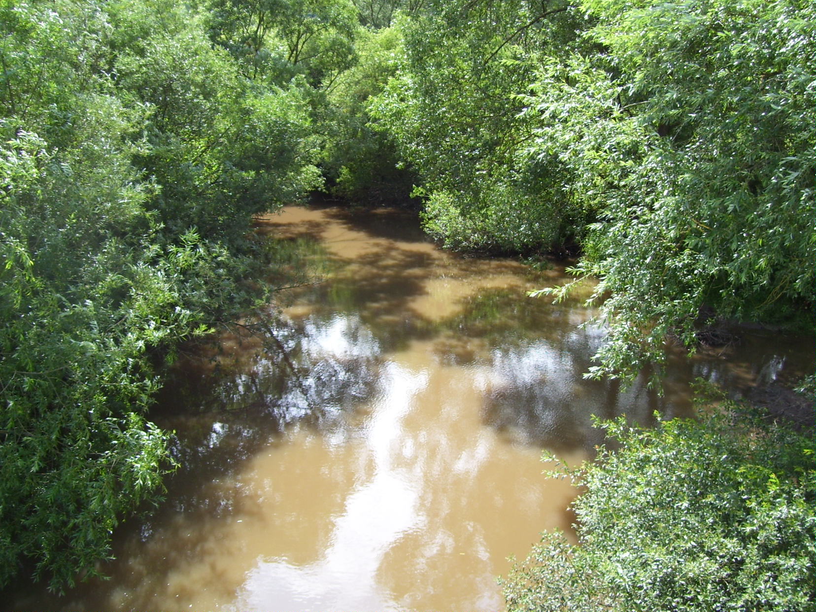 Picture of the measurement site