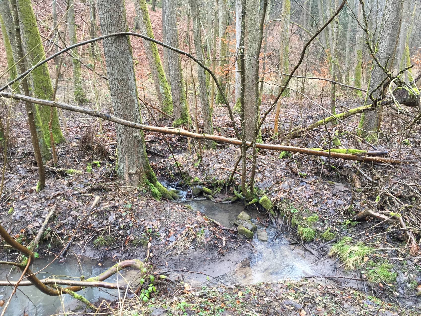 Picture of the measurement site