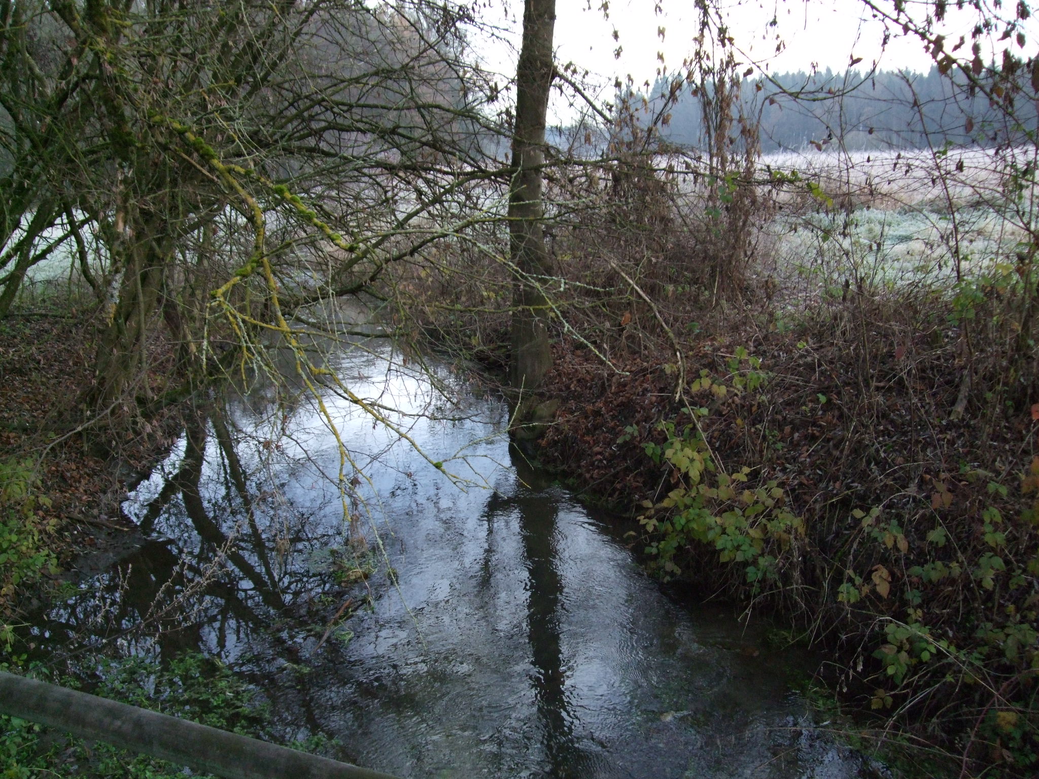 Picture of the measurement site