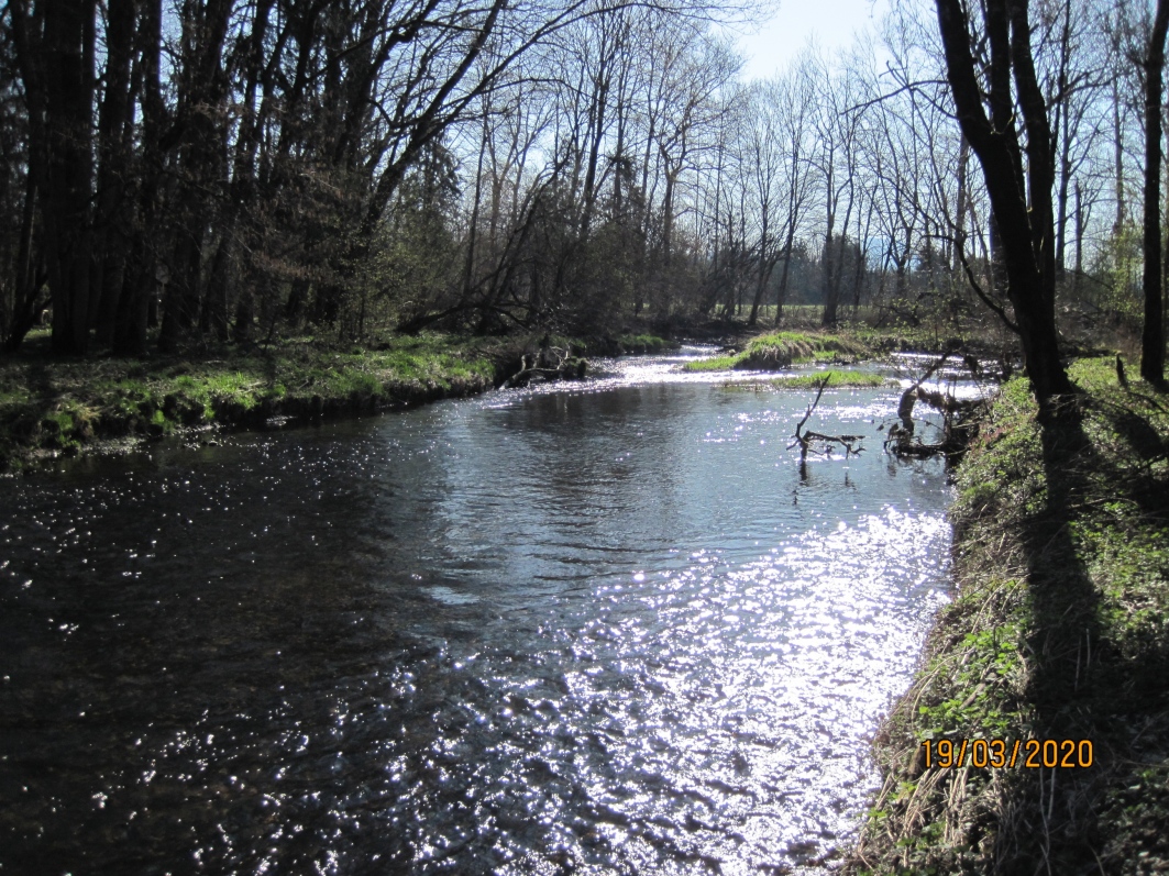 Picture of the measurement site