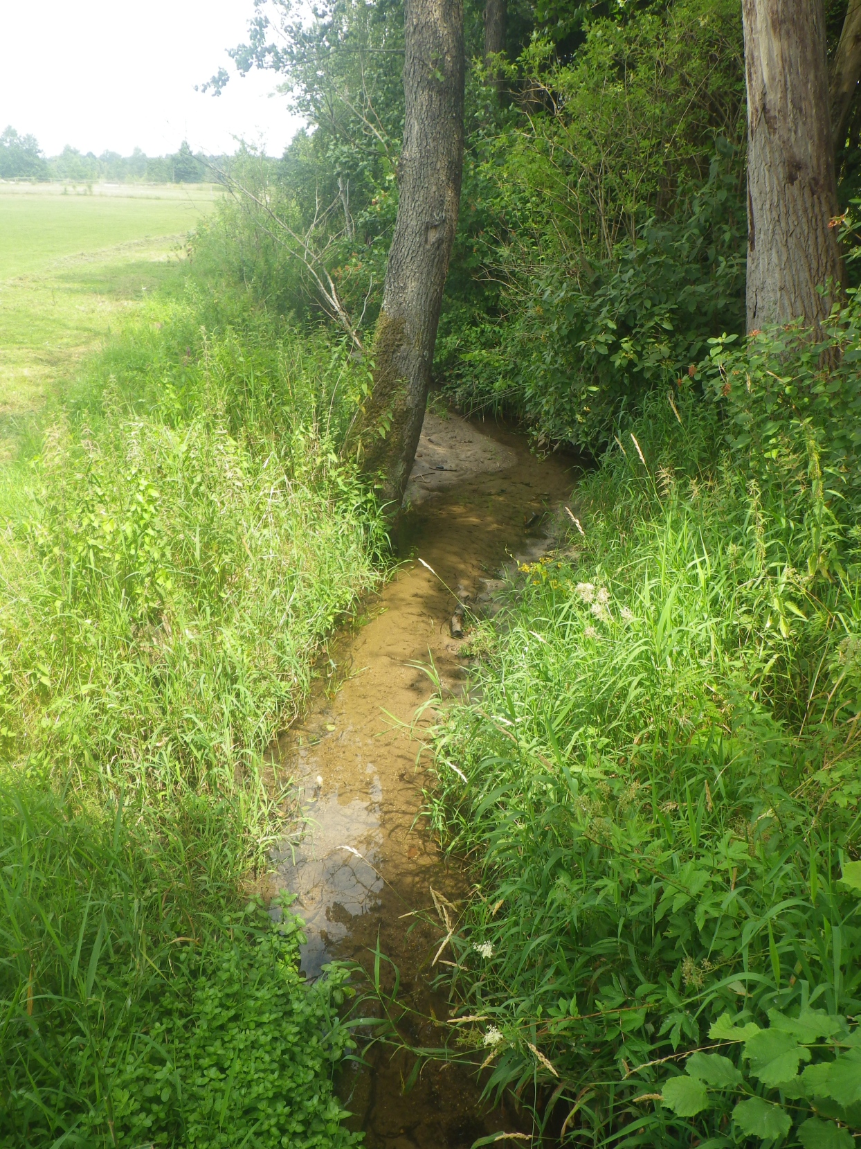 Picture of the measurement site