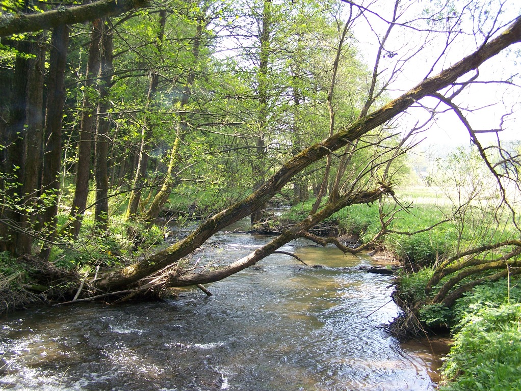 Picture of the measurement site