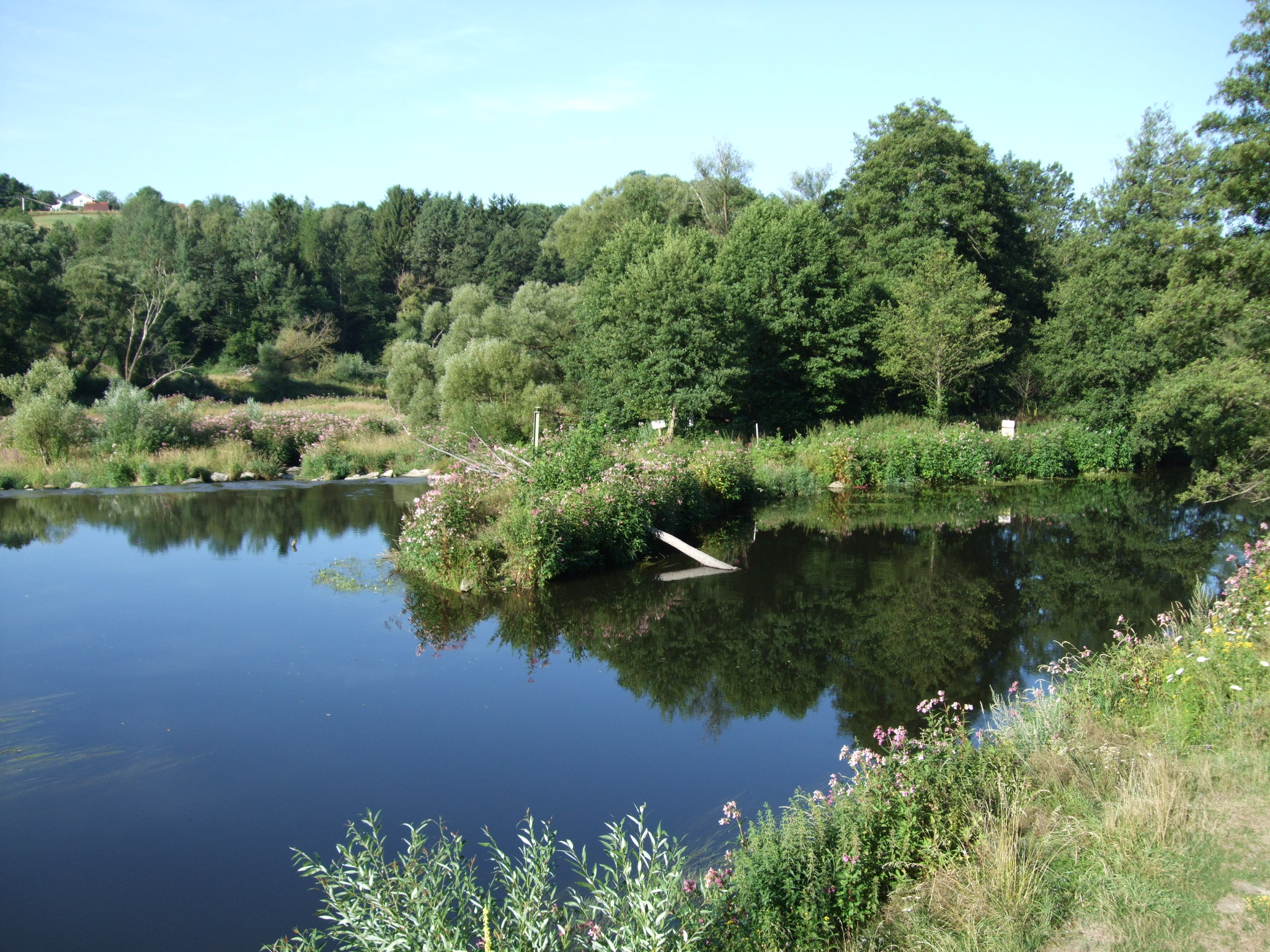 Picture of the measurement site